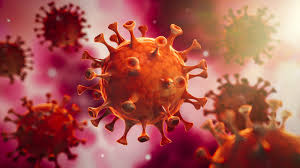 Read more about the article Trainingsverbot wegen SARS-CoV-2-Virus